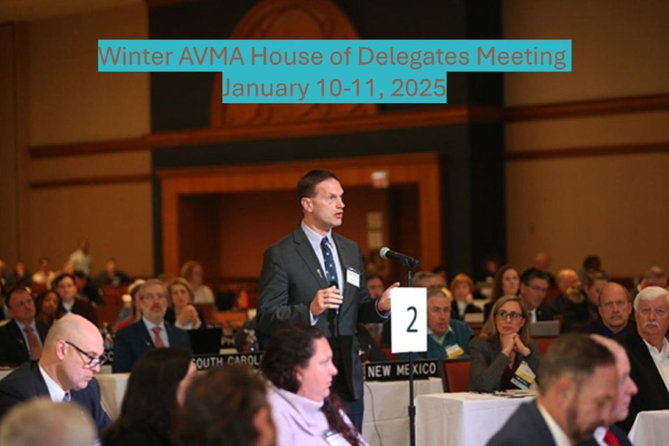 AVMA Winter HOD Meeting AVMA House of Delegates Winter Meeting