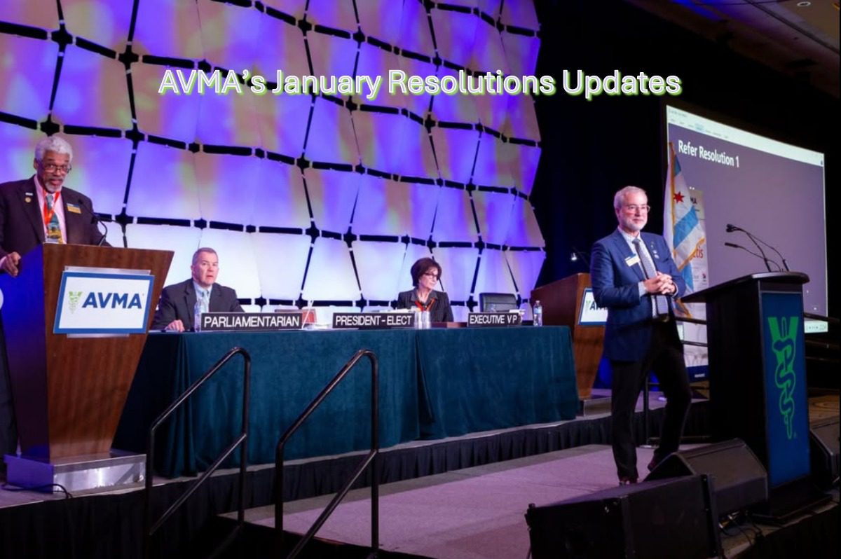 January 2025 House of Delegates Resolution Actions