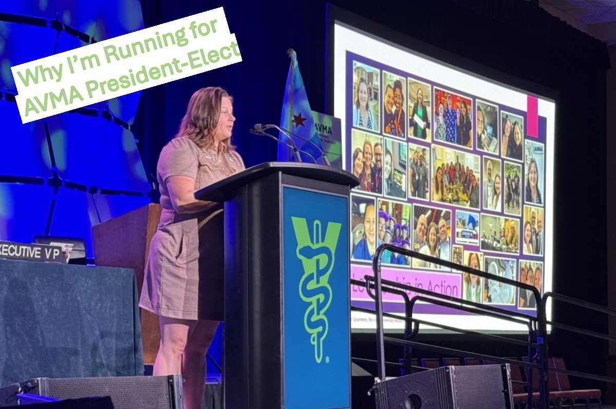 Jen Quammen speaking to the AVMA House of Delegates