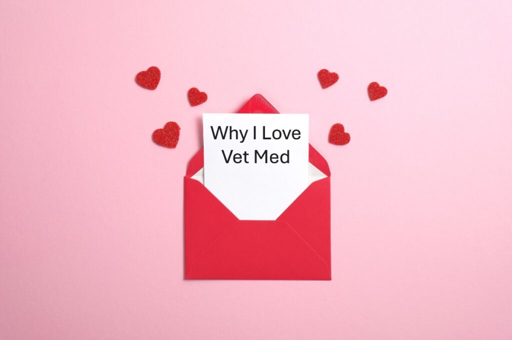 Jen Quammen's Love Letter to Vet Med