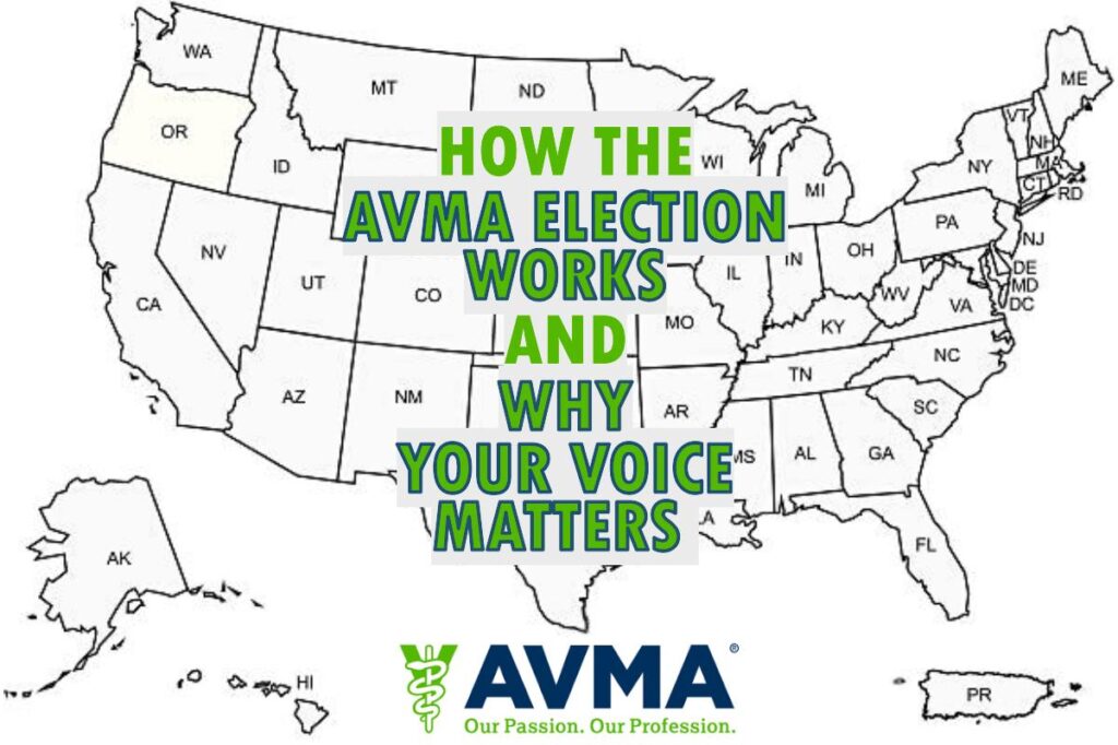 How the AVMA Election Works AVMA Election Process
