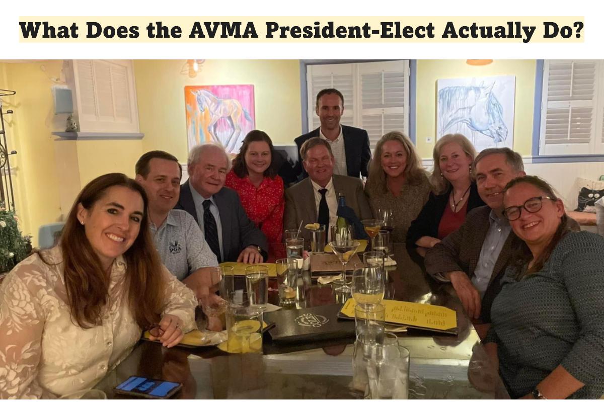 Kentucky Veterinary Medical Association meets with AVMA Leaders