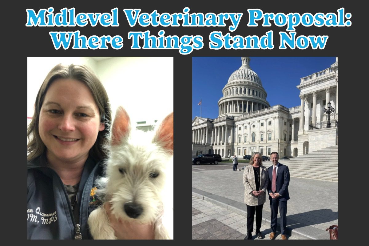 Midlevel Position/Veterinary Professional Associate